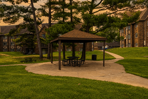 A gazebo with picnic tables is surrounded by trees and grass in a park.