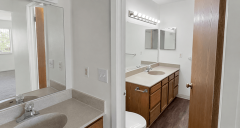 A bathroom with a sink, mirror, and toilet.