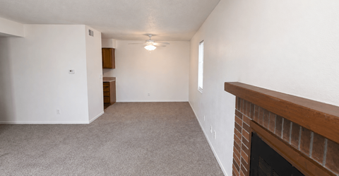 A room with a fireplace and a carpeted floor.