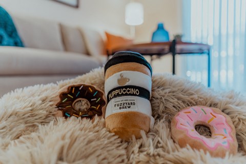 Cozy Pillows at Crestview at Louisville Apartments, Kentucky