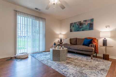 A living room with a couch, a rug, a dog, and a painting on the wall.