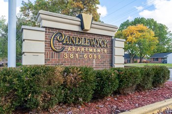 100 E. Candlewyck Studio-4 Beds Apartment for Rent - Photo Gallery 3