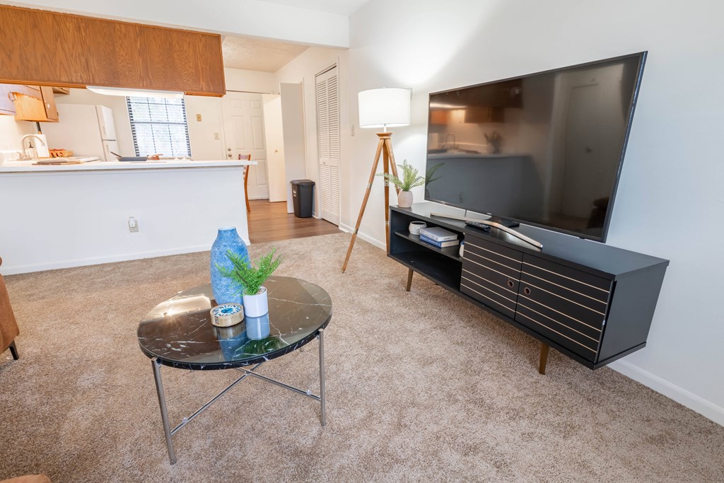 Classic Living Room Design With Television at Sandstone Court Apartments, Greenwood, IN