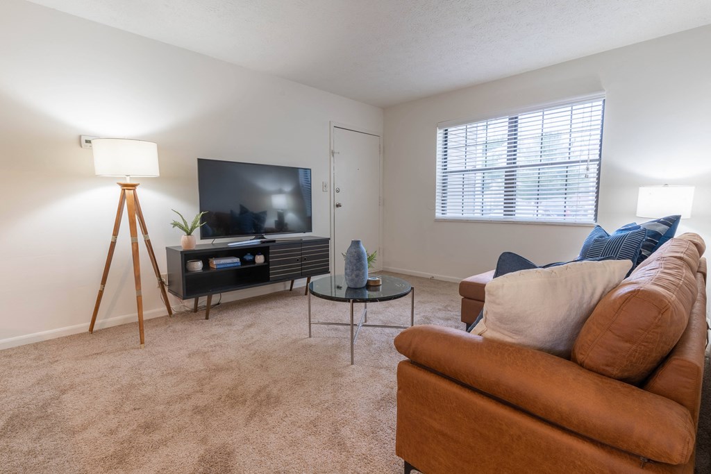 Living Room With TV at Sandstone Court Apartments, Indiana, 46142