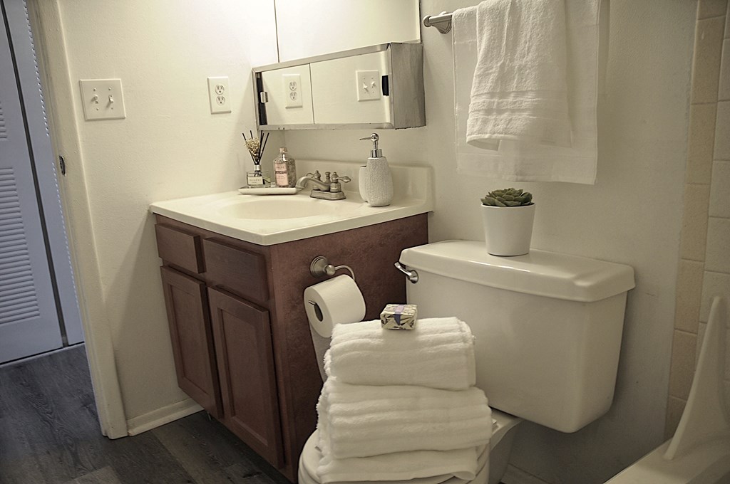 Bathroom with Vanity at Pickwick Farms Apartments in 46260
