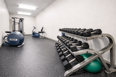 A gym with a row of dumbbells and a blue exercise ball.