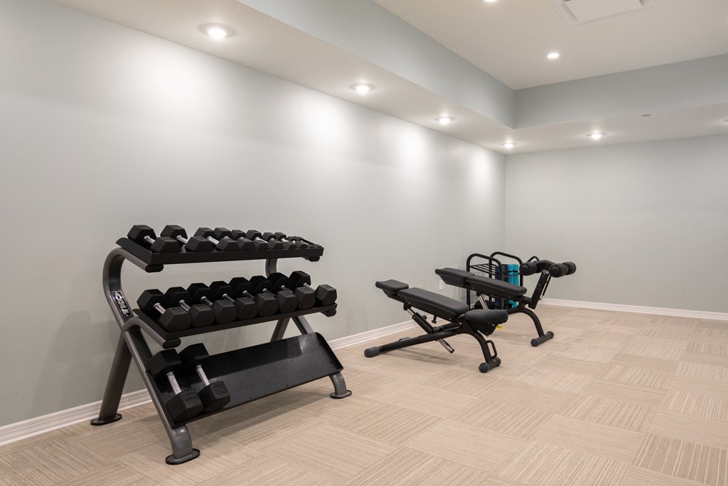 Free Weights in Gym at Park Heights by the Lake Apartments, Illinois, 60649