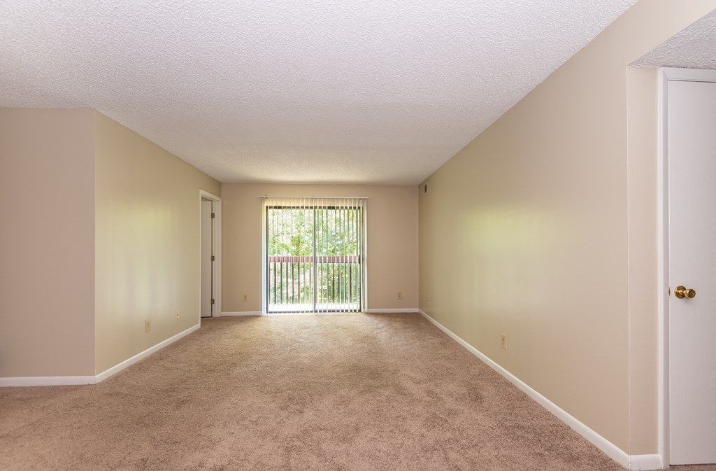 Carpeted Living Area at Meadow View Apartments and Townhomes, Springboro
