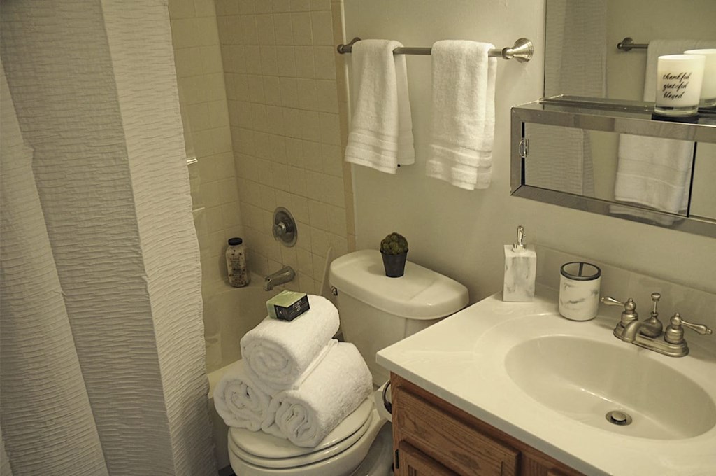 Bathroom at Pickwick Farms Apartments, Indianapolis, Indiana