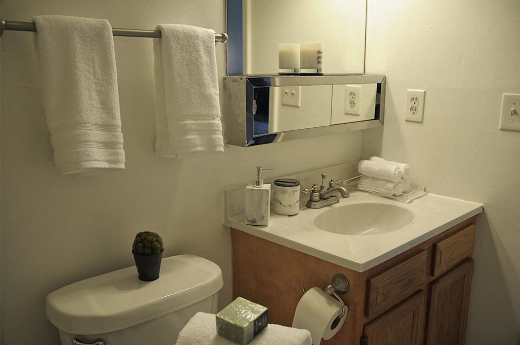 Bathroom with faux wood plank flooring at Pickwick Farms Apartments in Indiana