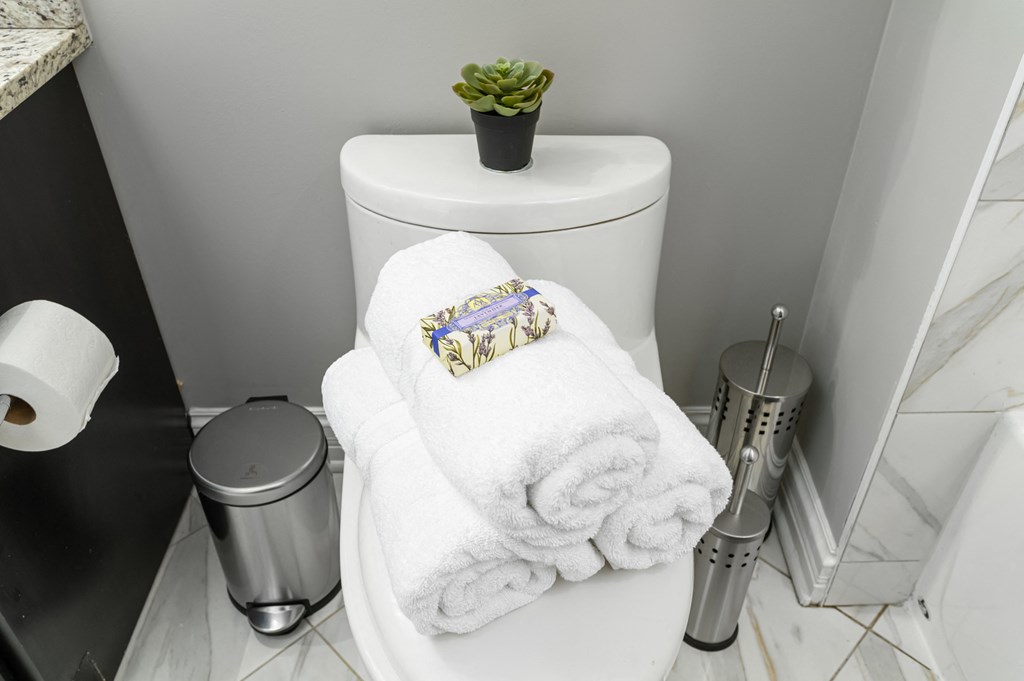 Bathroom Accessories at Somerset Place Apartments, Chicago, IL, 60640