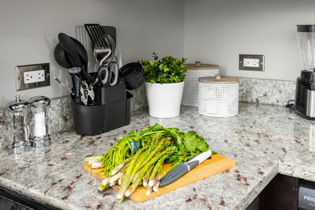 Granite Counter Tops In Kitchen at Somerset Place Apartments, Chicago, Illinois