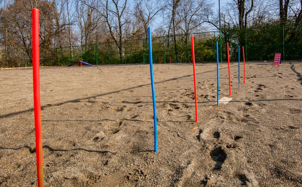 Park For Your Pets at Waterstone Place Apartments, Indianapolis, Indiana