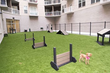 Dog Park at The Whit Apartments, Indianapolis, 46204 - Photo Gallery 48