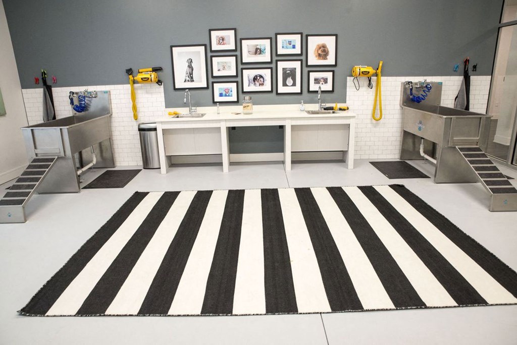 Indoor Pet Wash Station at The Whit Apartments, Indianapolis, IN, 46204