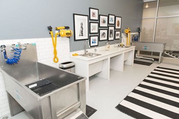 Pet Wash Station at The Whit Apartments, Indiana, 46204 - Photo Gallery 47