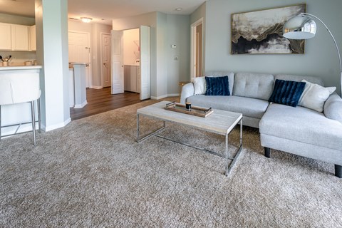 A living room with a grey couch and a coffee table.