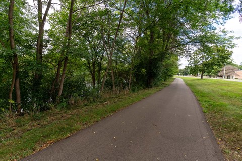 A tree-lined path in a park.