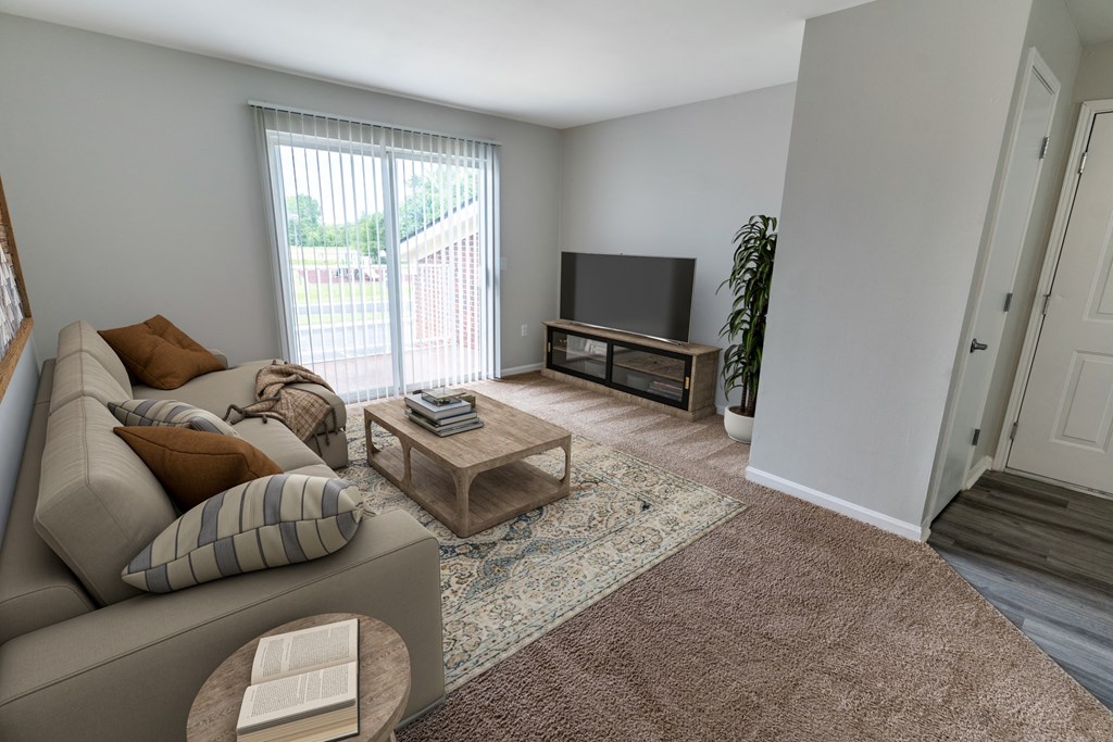 Living Area With TV at Walnut Creek Apartments, Indiana, 46902