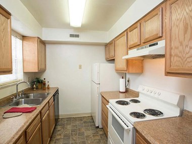 1074 Park Lane #3459 1-3 Beds Apartment for Rent Photo Gallery 1