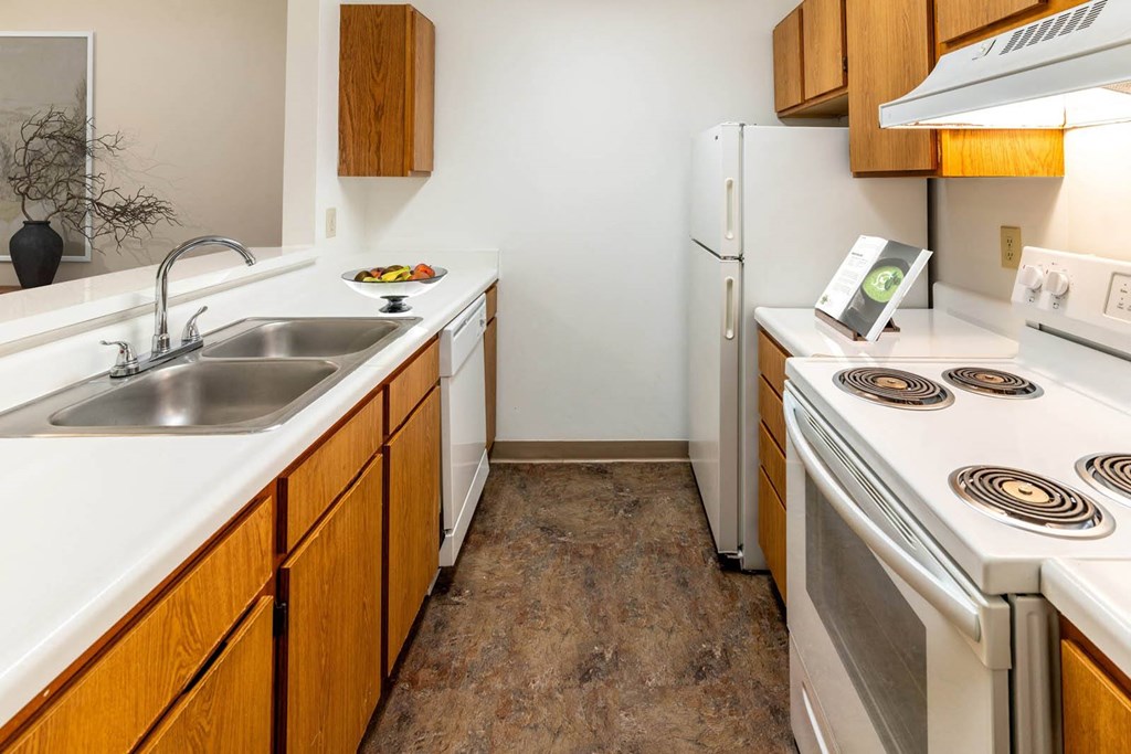 a kitchen with a stove sink and refrigerator