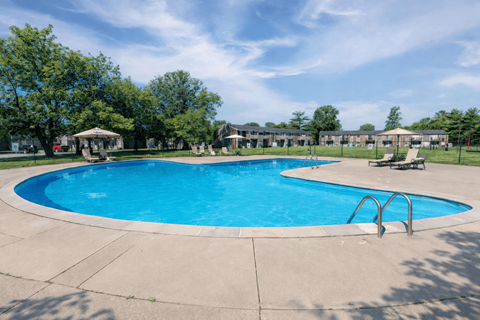 A large outdoor swimming pool surrounded by trees and a building.