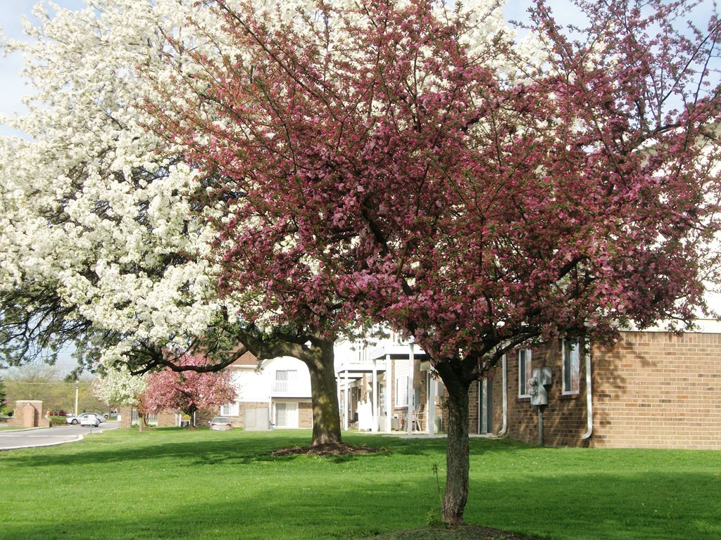 Beautiful landscaping at Waterstone Place Apartments, Indiana