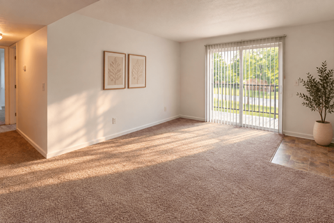 A room with a carpeted floor and two framed pictures on the wall.