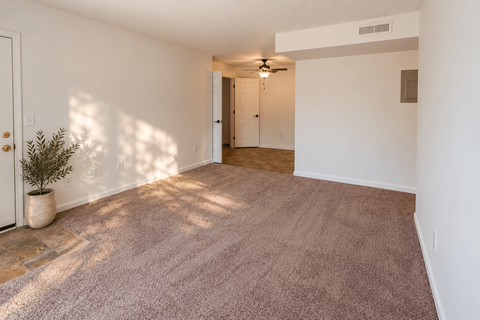 A room with a carpeted floor and a ceiling fan.