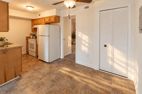 A kitchen with a refrigerator, oven, and a plant on the counter.