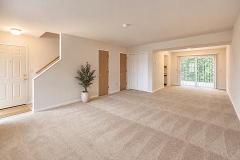 A room with a carpeted floor and a small tree in a pot.