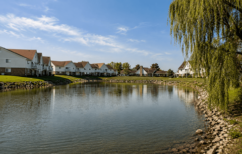 A serene lake surrounded by houses and a weeping willow tree.