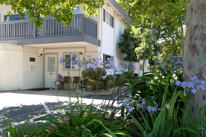 a patio in front of a house with blue flowers