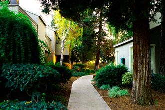 The Redwoods Apartments - Walkway The Redwoods Apartments - Modesto - Photo Gallery