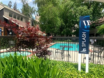 Waters Edge Apartment Pool Waters Edge Apartment Pool - Photo Gallery 6