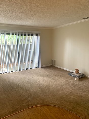 Waters Edge Interior Living Room
