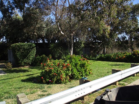a backyard with a fence and some flowers and trees