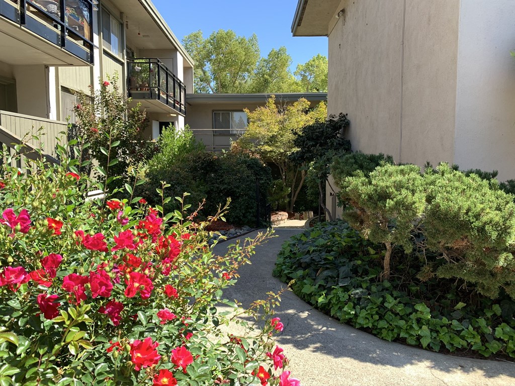 Shelfield Apartments