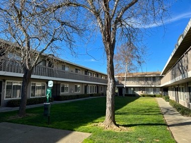 Sharis Courtyard
