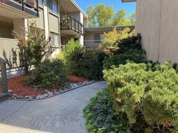Shelfield Courtyard Shelfield Exterior - Photo Gallery 4