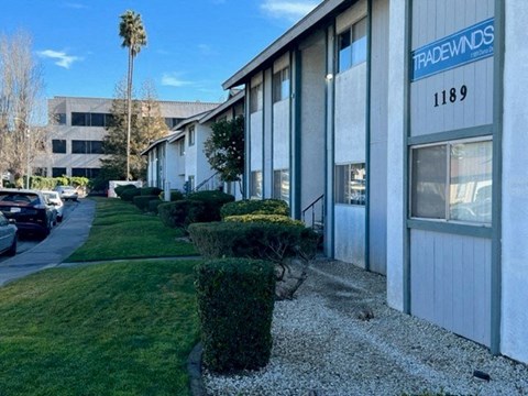 Tradewinds Apartments Exterior Lawn