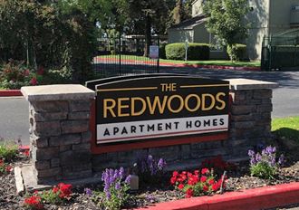 The Redwoods Apartments - Photo Gallery 1