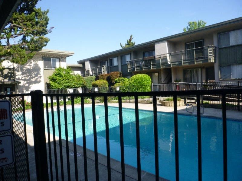 Shelfield Courtyard and Pool Shelfield Apartments - Pool