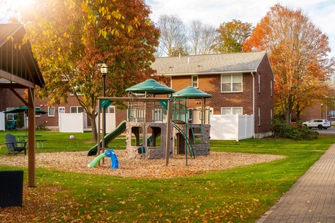 A playground with a green slide and a red slide.