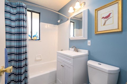 a bathroom with a sink toilet and a shower