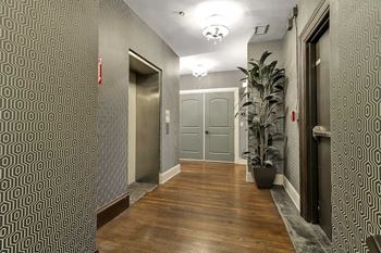 A long hallway with a plant on the right side.