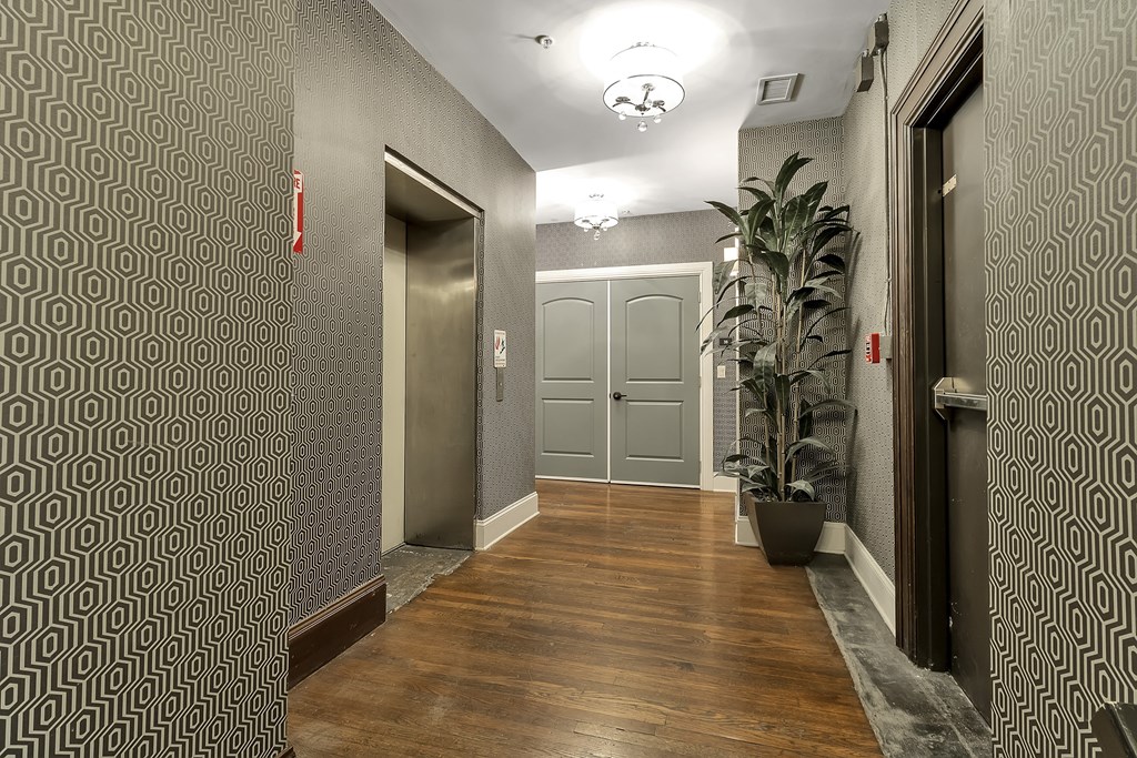 a hallway with two doors and a potted plant at The Knights @ 506 Delaware Apartments, New York