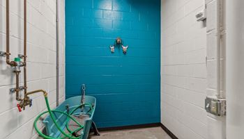 a bathroom with a blue wall and a blue tub Hot Metal Flats apartments, Southside Pittsburgh, PA