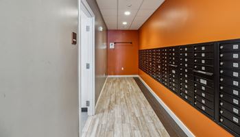 a locker room in a gym with a wooden floor and orange walls Hot Metal Flats apartments, Southside Pittsburgh, PA 