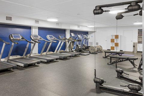 A gym with treadmills and weight machines.